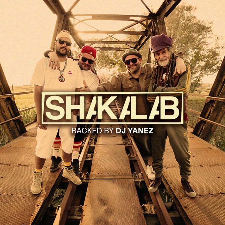 SHAKALAB-TEMPLATE-dice (3)