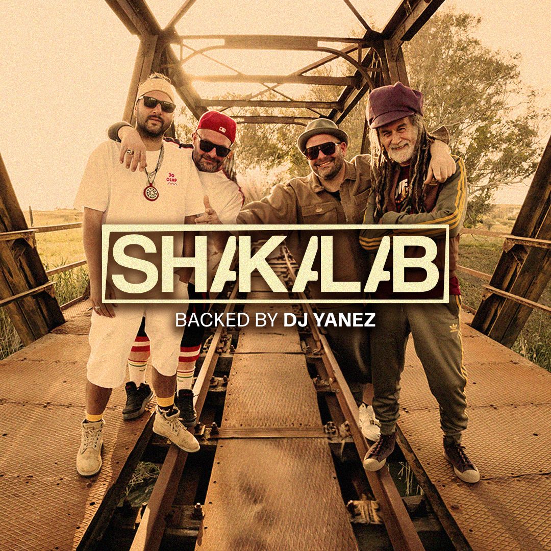 SHAKALAB-TEMPLATE-dice (3)